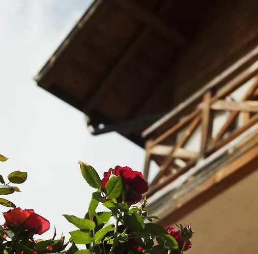 Pirina Club Hotel Bansko