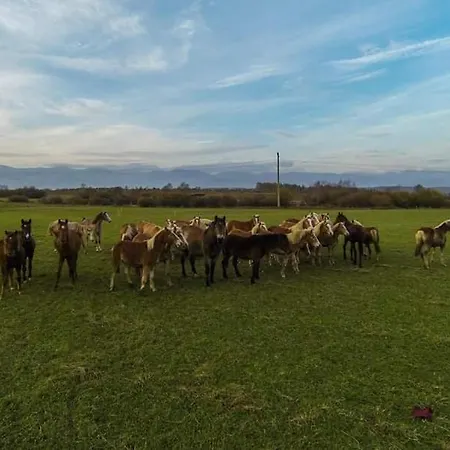 Pirina Club Hotel 3*