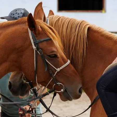 Pirina Club ホテル バンスコ