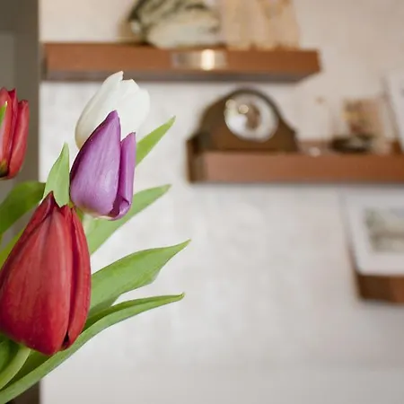 Pirina Club ホテル バンスコ