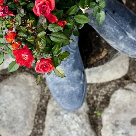 Pirina Club Hotel Bansko