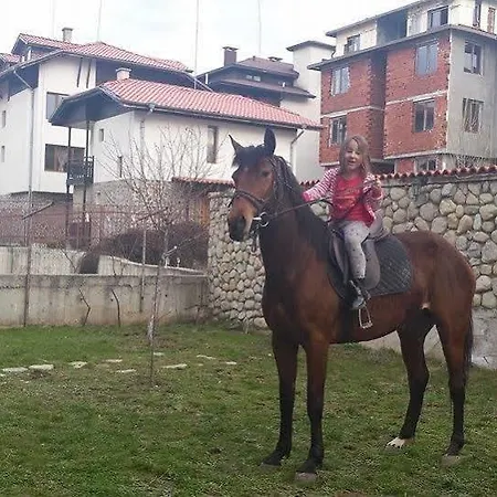 Pirina Club ホテル 3*