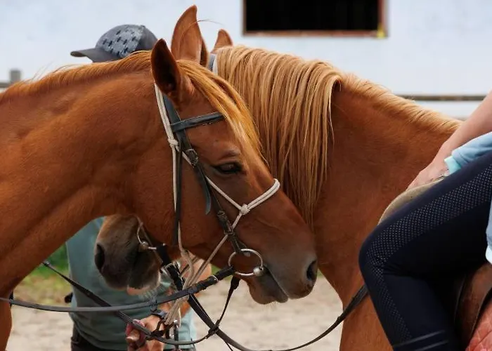 Pirina Club 호텔 반스코