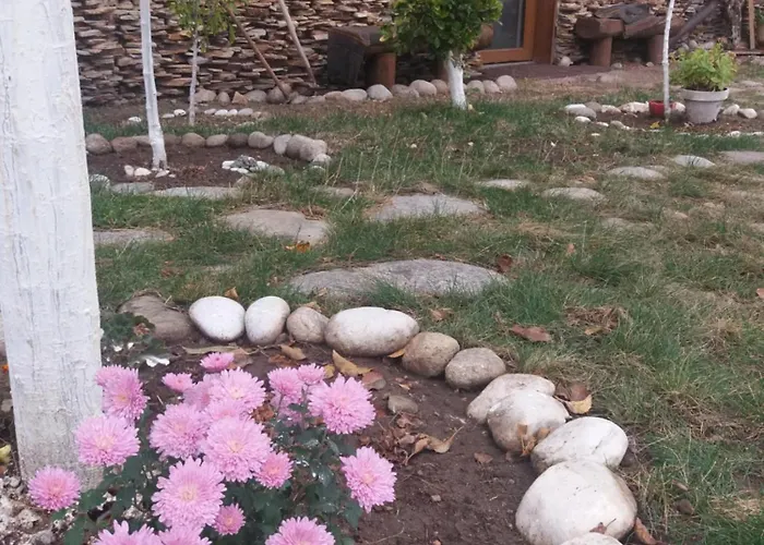 Pirina Club 호텔 3*