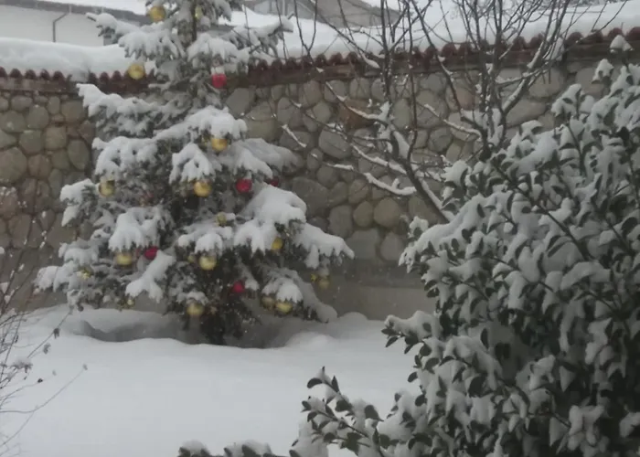 Pirina Club 반스코