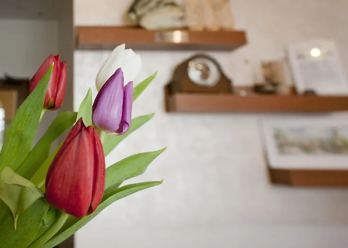 Pirina Club Hotel Bansko