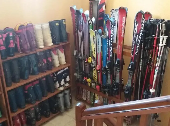 호텔 Pirina Club 3*